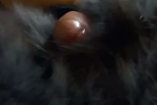 Kövér magyaranyafiaszex csaj farmert tép a hatalmas seggével.